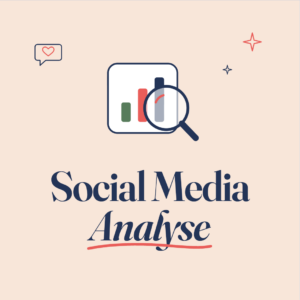 Social Media Analyse